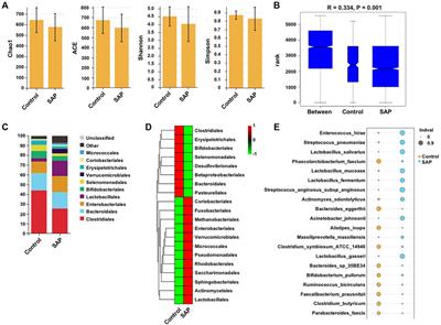 Clostridium butyricum Protects Against Pancreatic and Intestinal Injury After Severe Acute Pancreatitis via Downregulation of MMP9